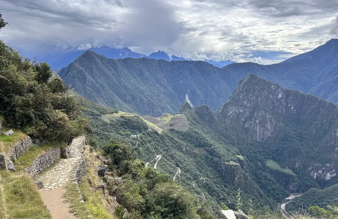 Flora y Fauna de Machu Picchu: Biodiversidad del Santuario Histórico